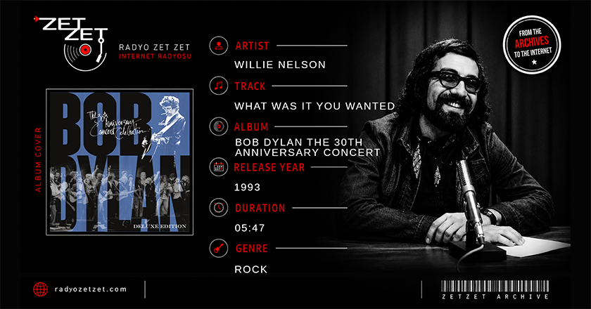 Willie Nelson What Was It You Wanted