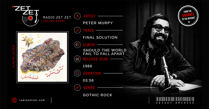 Peter Murphy Final Solution
